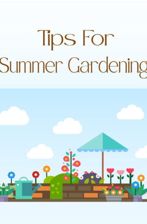 Tips For Summer Gardening