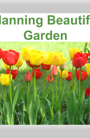 Planning Beautiful Garden